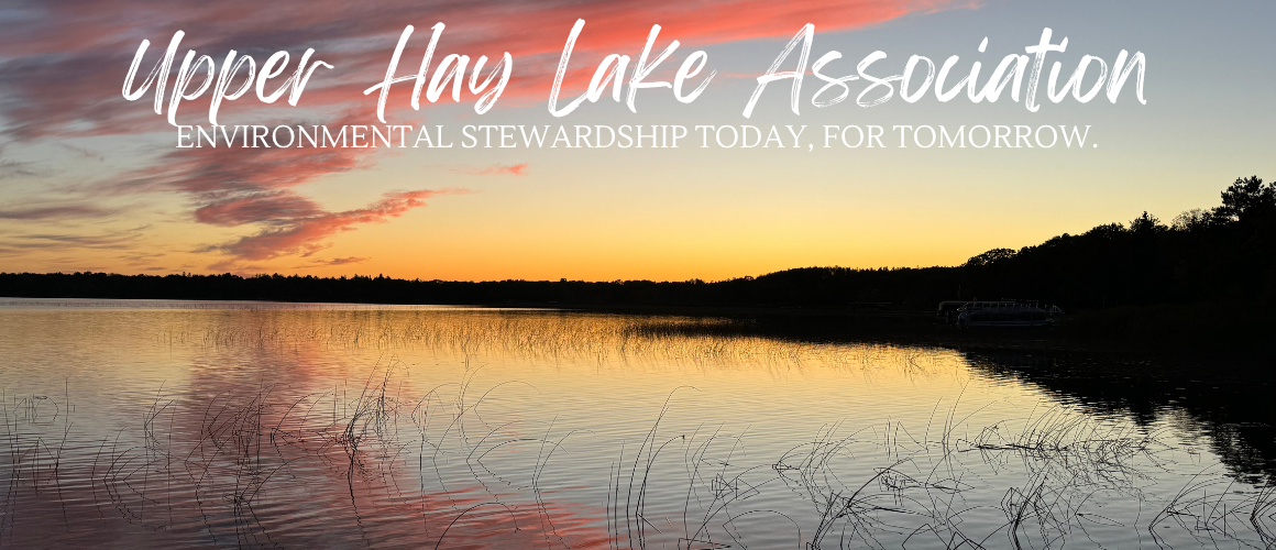 Upper Hay Lake Association
